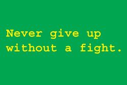 never_give_up_without_a_fight_encouragingwords_94.jpg